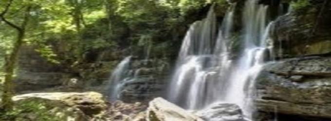 A Beautiful Waterfall from the Tennessee Secret Waterfalls
