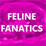Feline Fanatics Image with Background