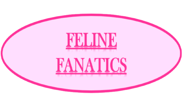 Feline Fanatics Logo
