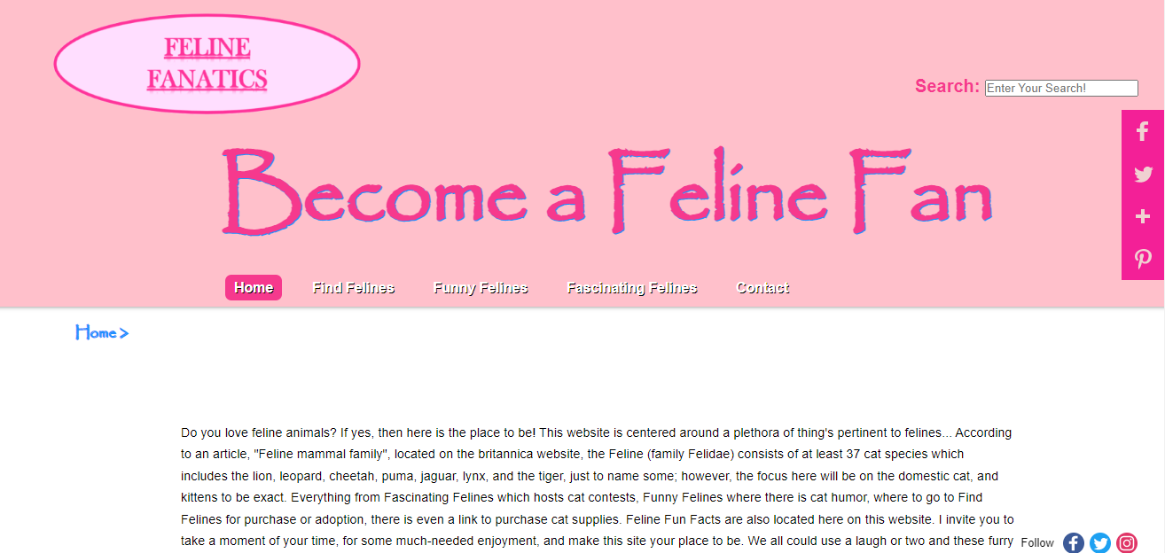 Feline Fanatics, Interactive Website